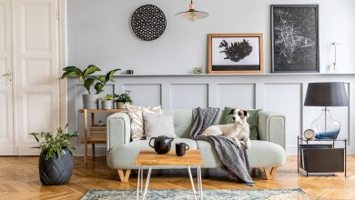 Photo of Секреты комфортного дома